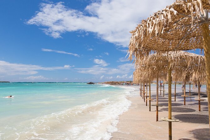 Elafonissi Beach Tour from Chania with stop in Elos Village - Keep an eye out for turtles, but don’t chase them