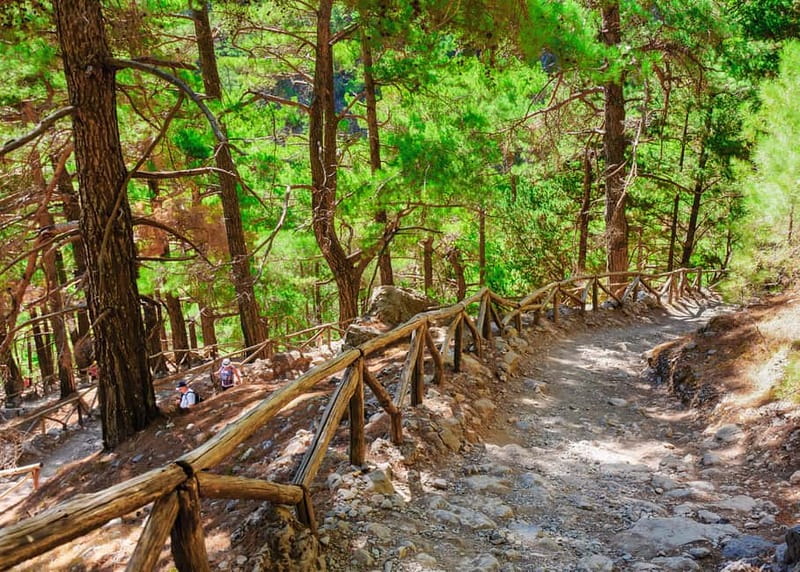 From Chania: Full-Day Samaria Gorge Trek Excursion & Guide - Ferry to Sougia and the late return by bus