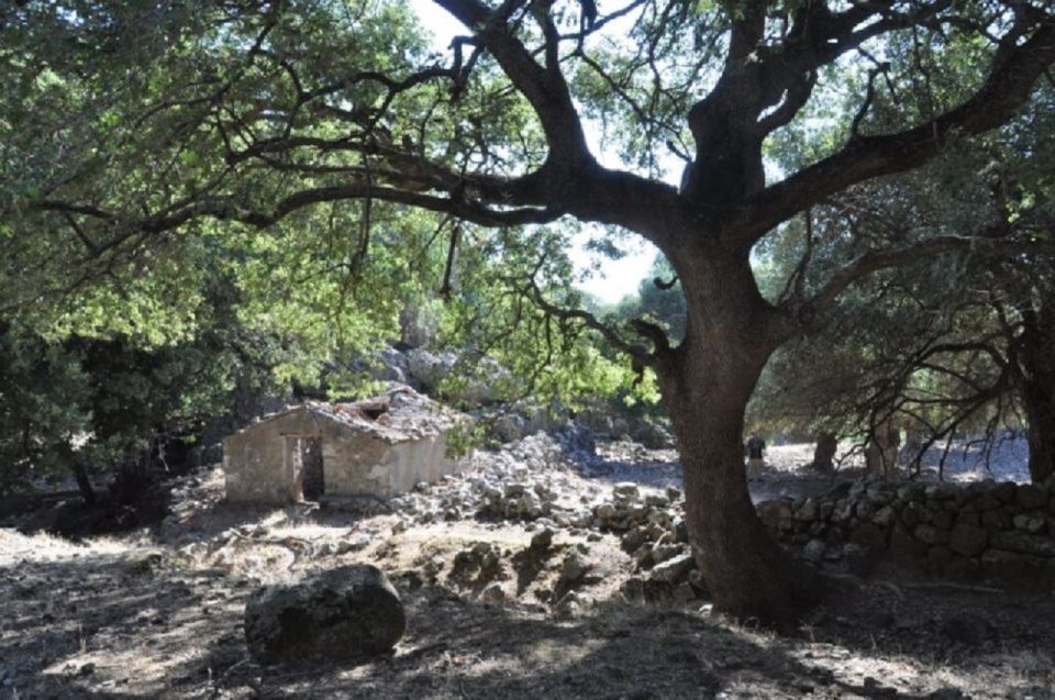 From Chania: Imbros Gorge Guided Hike and Village Visit - Entering the Gorge: 9 km of Downhill, Not a Mud-Wrestling Contest