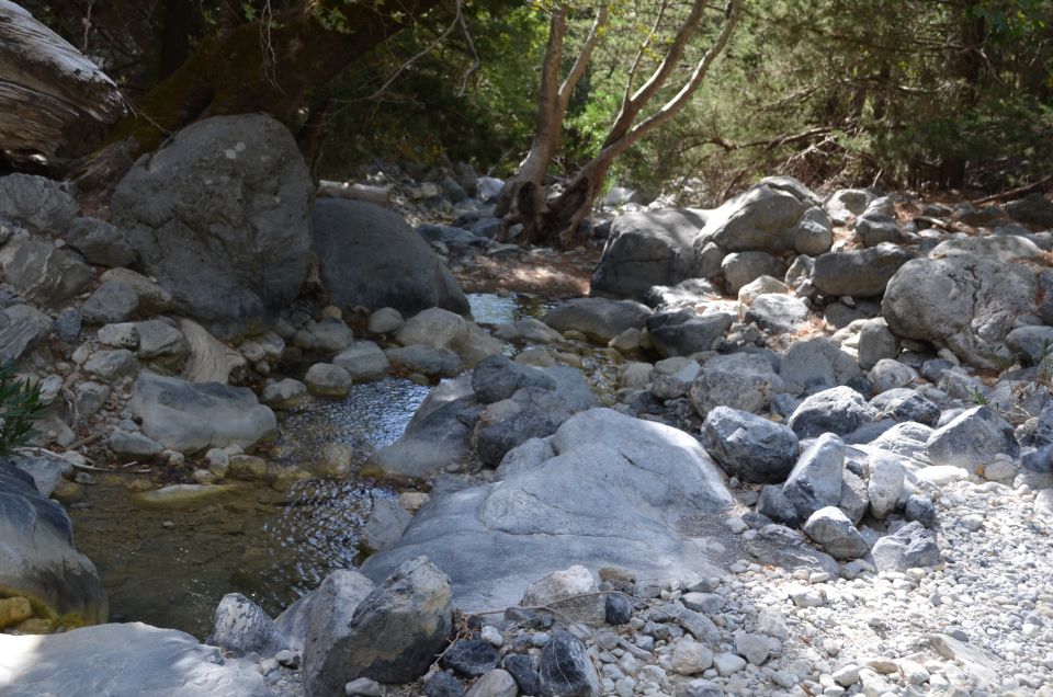 From Chania/Kalyves: Full-Day Samaria Gorge Hiking Day Trip - Price and value: what $32.75 covers and what you still need to budget