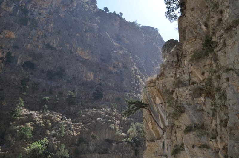 From Chania/Kalyves: Full-Day Samaria Gorge Hiking Day Trip - Why Samaria Gorge feels different from other Crete hikes