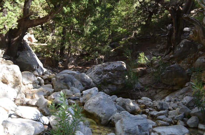 From Chania/Kalyves: Full-Day Samaria Gorge Hiking Day Trip - Agia Roumeli: swim time, lunch options, and the beach reset