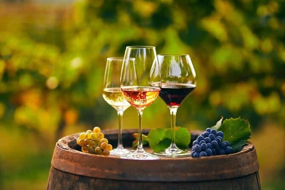 From Chania: Olive Oil, Wine, Cheese & Honey Tasting Tour - Olive Oil, Wine, Cheese & Honey: What Makes This Day Trip Worth It