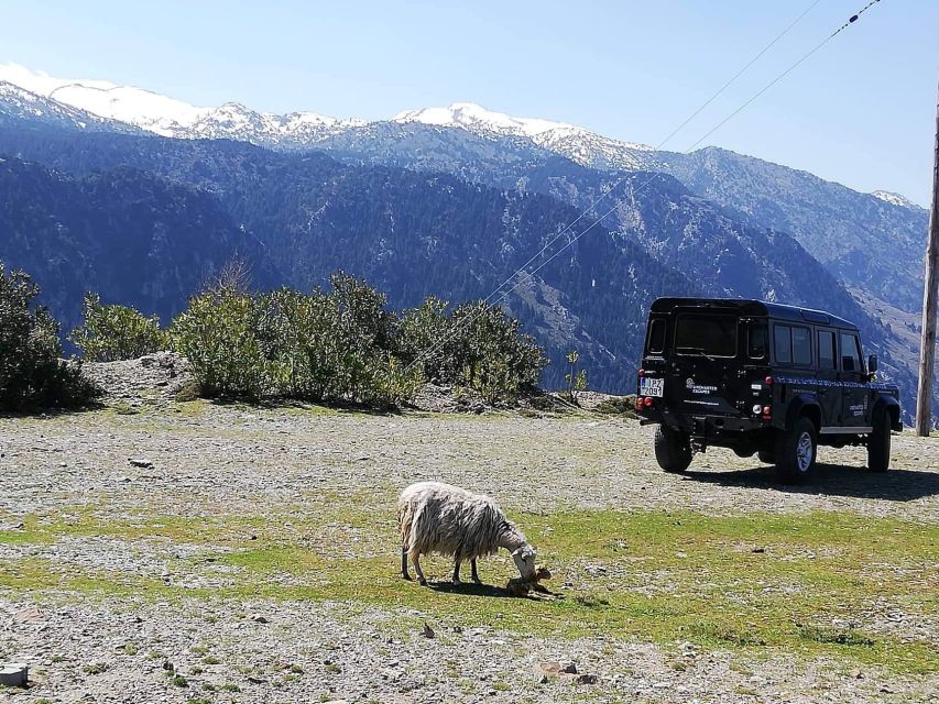 From Chania: White Mountains Land Rover Safari - Key highlights at a glance