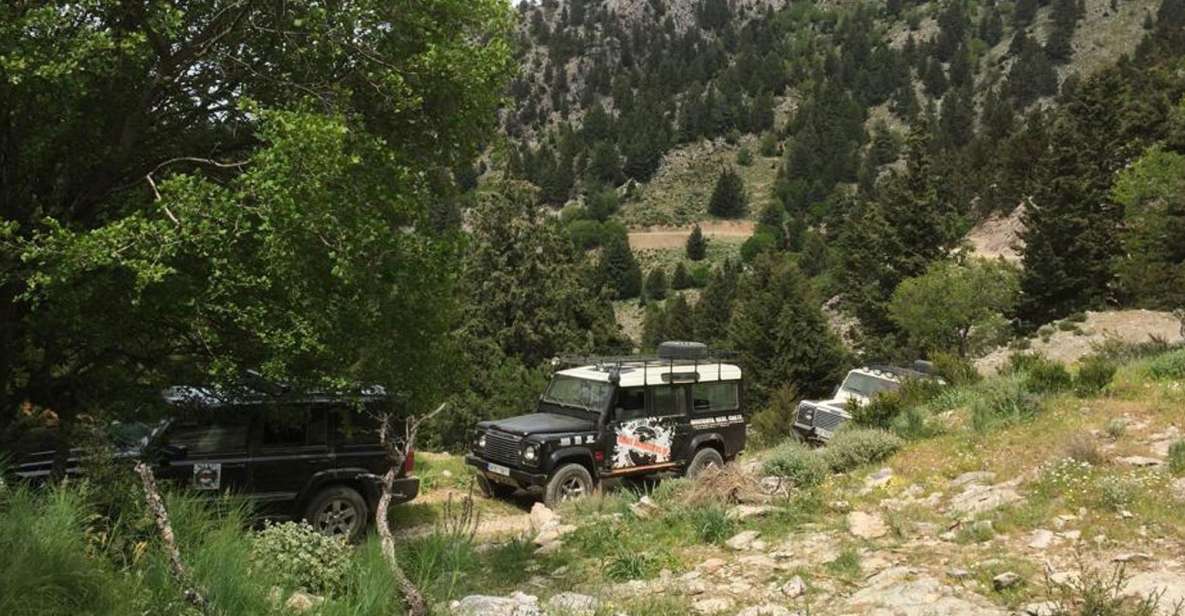 From Chania: White Mountains Land Rover Safari - Mountain coffee/tea stop: a breather away from crowds