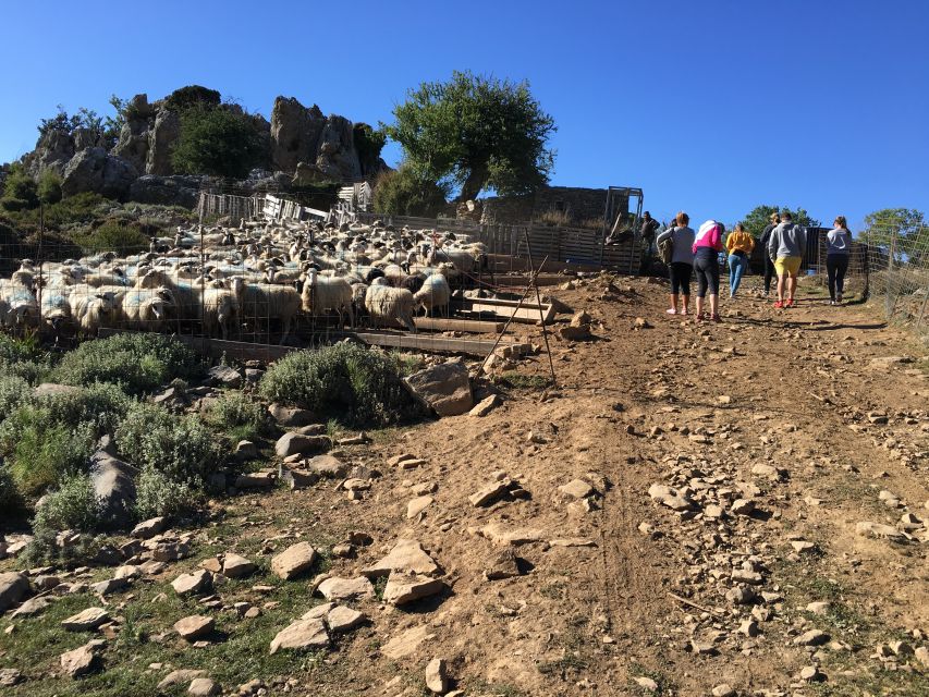 From Chania: White Mountains Land Rover Safari - The mitato shepherd hut: why this stop feels different