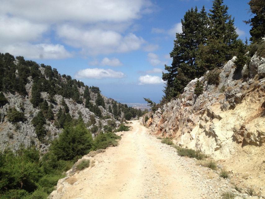 From Chania: White Mountains Land Rover Safari - Panoramic views around 1,350 meters: worth the rocky road