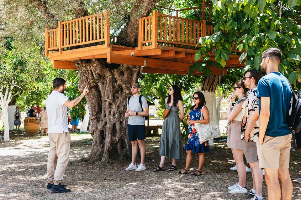 From Chania: Wine and Olive Oil Tasting Tour with Snacks - How the snacks and lunch keep the day enjoyable