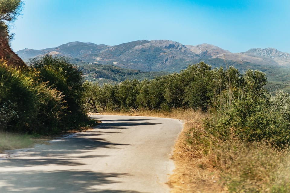 From Chania: Wine and Olive Oil Tasting Tour with Snacks - Price and logistics: is $141 good value?