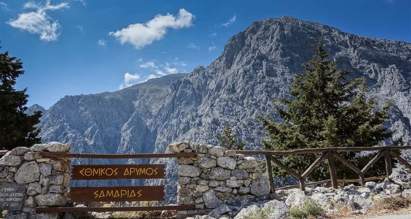 From Heraklion,Agia Pelagia,Malia: Samaria Gorge Guided Trip - Who this tour suits, and who should skip it