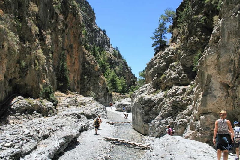From Heraklion,Agia Pelagia,Malia: Samaria Gorge Guided Trip - Ferry to Sfakia and the long bus ride back