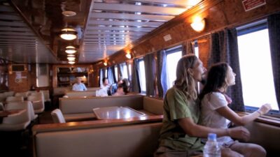 From Ierapetra: Cruise to Chrissi Island with Swimming - The Cruise Out: Seagulls, Dolphins, and Real Sea Views