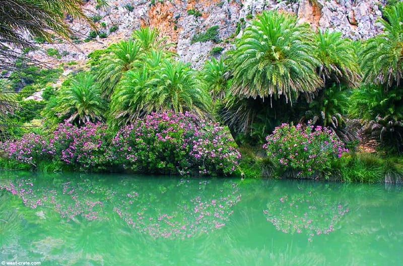 From Rethymno/Chania: Day Trip to Preveli Palm Beach - What to bring so the day stays comfortable (and not annoying)