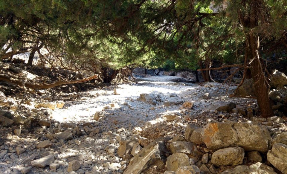 From Rethymno/Chania: Imbros Gorge Hike - Getting From Rethymno or Chania To The White Mountains Trail Start