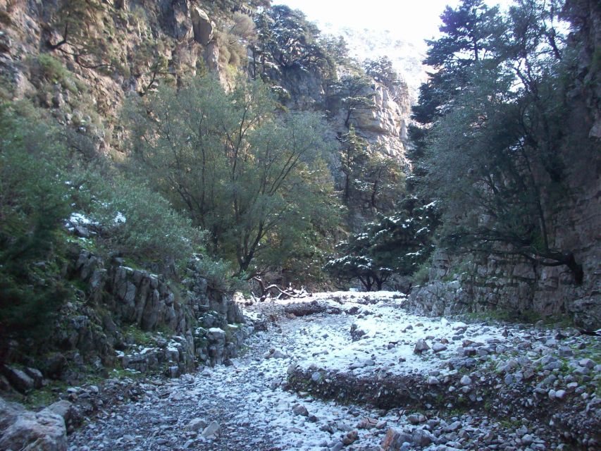 From Rethymno: Imbros Gorge & Libyan Guided Sea Tour - Key things that make this tour work