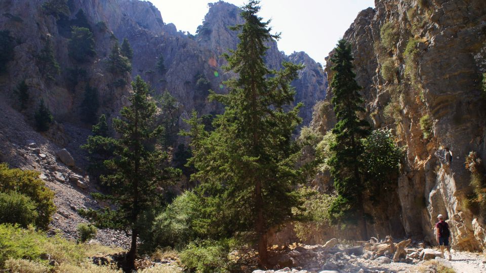 From Rethymno: Imbros Gorge & Libyan Guided Sea Tour - South Coast swim in the Libyan Sea: the payoff after the hike