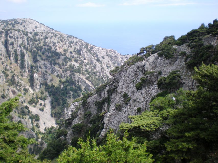 From Rethymno: Imbros Gorge & Libyan Guided Sea Tour - Traditional lunch on the coast: what to expect and how to time it