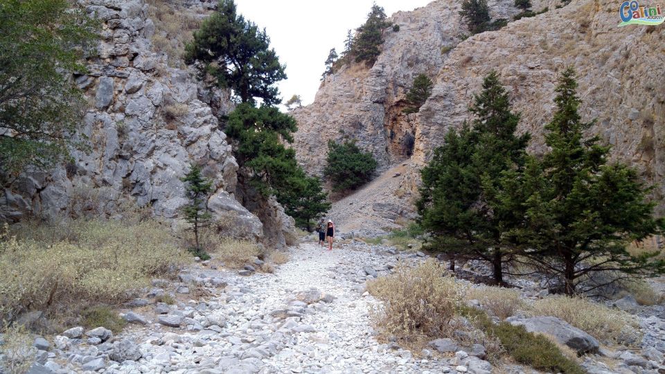 From Rethymno: Imbros Gorge & Libyan Guided Sea Tour - Price and value: $34 makes sense when you price in time and transport