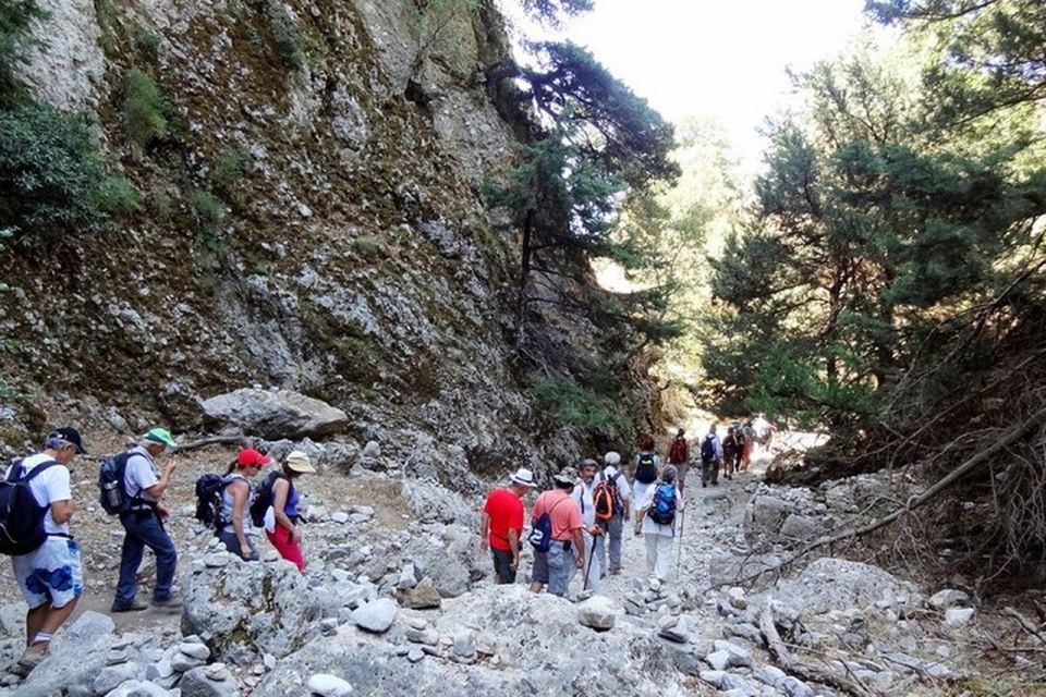 From Rethymno: Imbros Gorge & Libyan Guided Sea Tour - What to bring, what to wear, and how to handle the walking