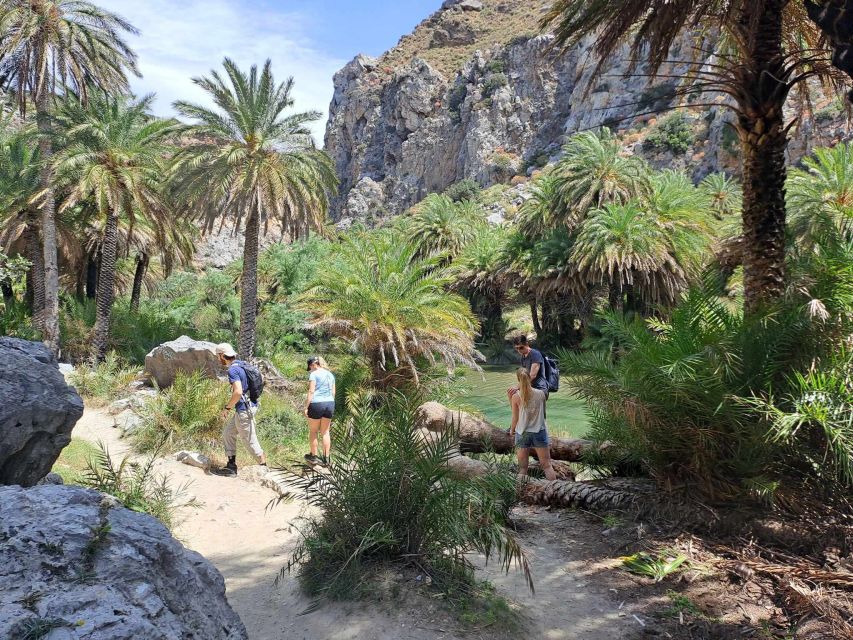 From Rethymno: Kourtaliotiko, Preveli Palm Beach, & Damnoni - Transportation, guides, and languages: what you’ll notice on the day