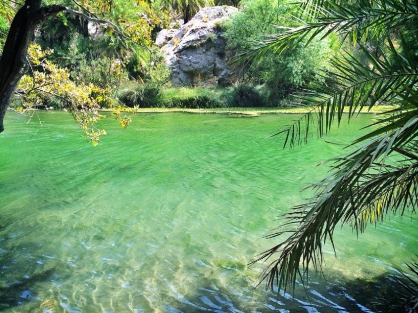 From Rethymno: Preveli Palm Beach and Kourtaliotiko Day Trip - The boat ride to Preveli: short, scenic, and worth it