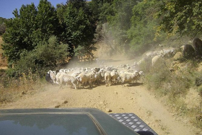 Full-Day Land Rover Safari from Heraklion with Lunch - Lassinthos Eco Park and Seli village: handicrafts and farming you can feel