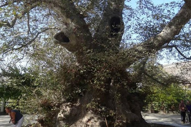 Full-Day Land Rover Safari from Heraklion with Lunch - Krassi spring water and the 2,000-year-old plane tree farewell
