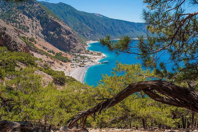 Full-Day Samaria Gorge Chania Guided Tour - Mid-Hike Reality Check: Shoes, Water Stations, and Knee-Saver Tactics