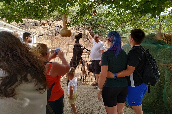 Full-Day Small-Group Tour in Crete with Zeus Cave Visit - Aposelemis Dam: Submerged Houses and a Wetland Full of Birds