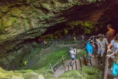 Full-Day Small-Group Tour in Crete with Zeus Cave Visit - Potamies Farm: Milk a Goat, Taste Local Cheese, Try Rakomelo