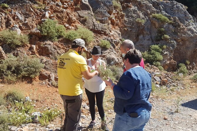 Full-Day Small-Group Tour in Crete with Zeus Cave Visit - Ano Kera Wood-Oven Meal: Food That Actually Fills the Day