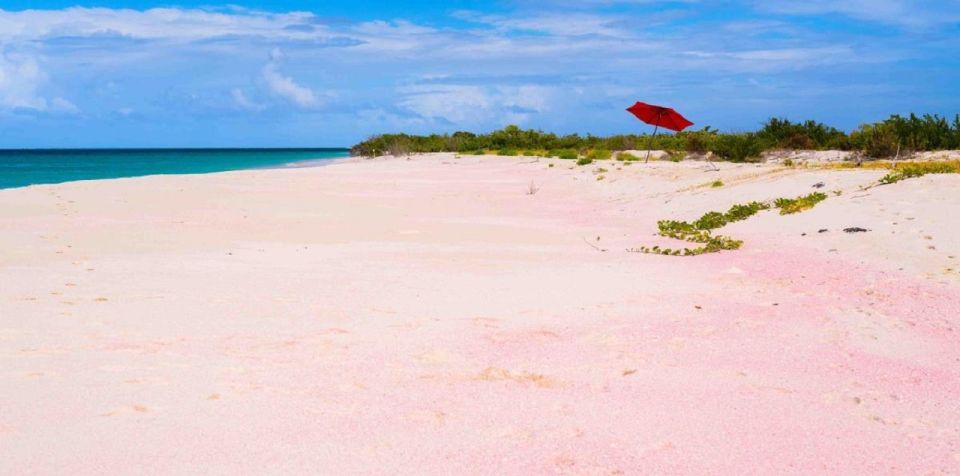 Georgioupolis Area: Full-Day Bus Trip to Elafonisi Island - Elafonisi’s pink shores: what you’re really buying for $40