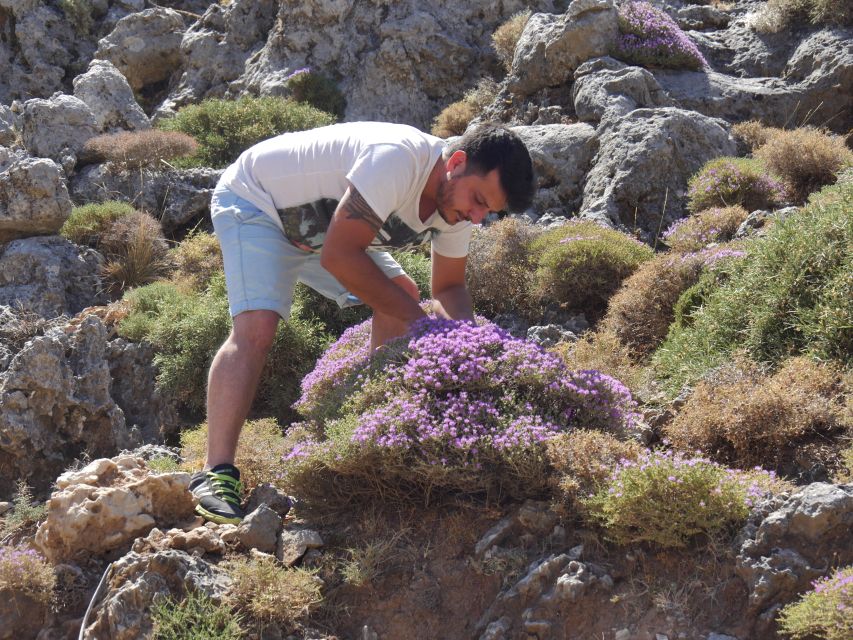 Georgioupolis Full-Day Land Rover Safari Experience - Mountain tastings: herbs, raki, honey, and the olive oil logic
