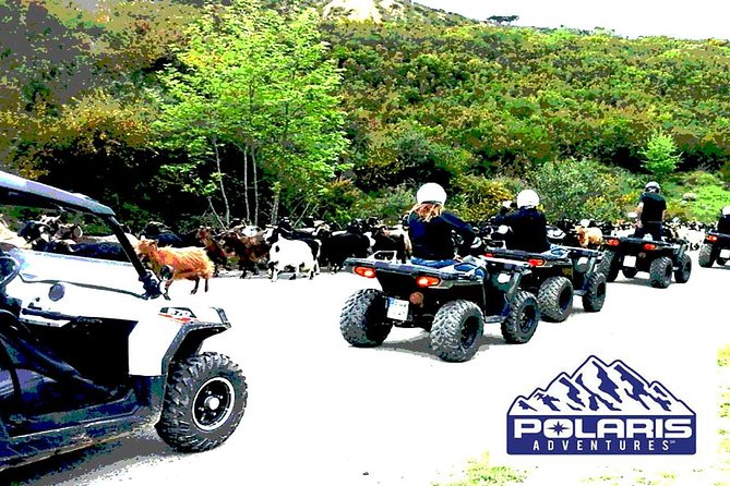 Half-Day Rethymno Quad Safari - Terrain and Thrills: Tarmac, Sand, Rough Bits, and Possible Water
