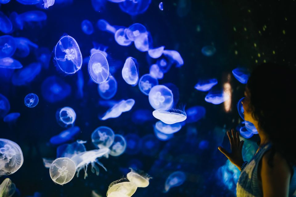 Heraklion Area: CRETAquarium Admission Ticket - Who Should Book CRETAquarium (and Who Might Want to Skip)
