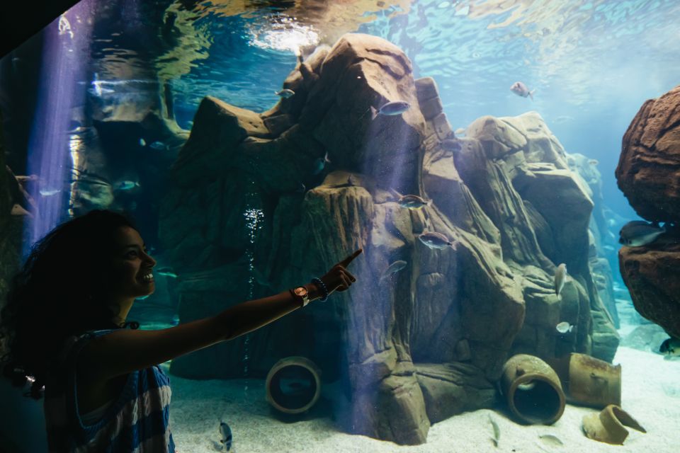 Heraklion Area: CRETAquarium Admission Ticket - Getting There From Heraklion (Fast, Simple, and Low-Stress)