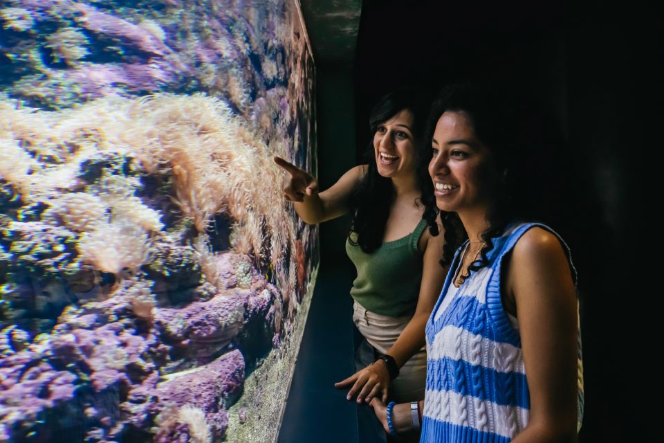 Heraklion Area: CRETAquarium Admission Ticket - Your Walk Through the Mediterranean Habitats