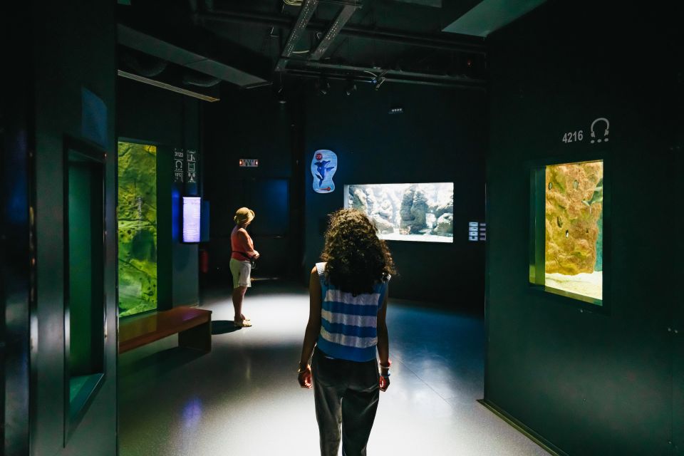 Heraklion Area: CRETAquarium Admission Ticket - Facilities You’ll Notice on Arrival (Parking, Cafe, and Comfort)