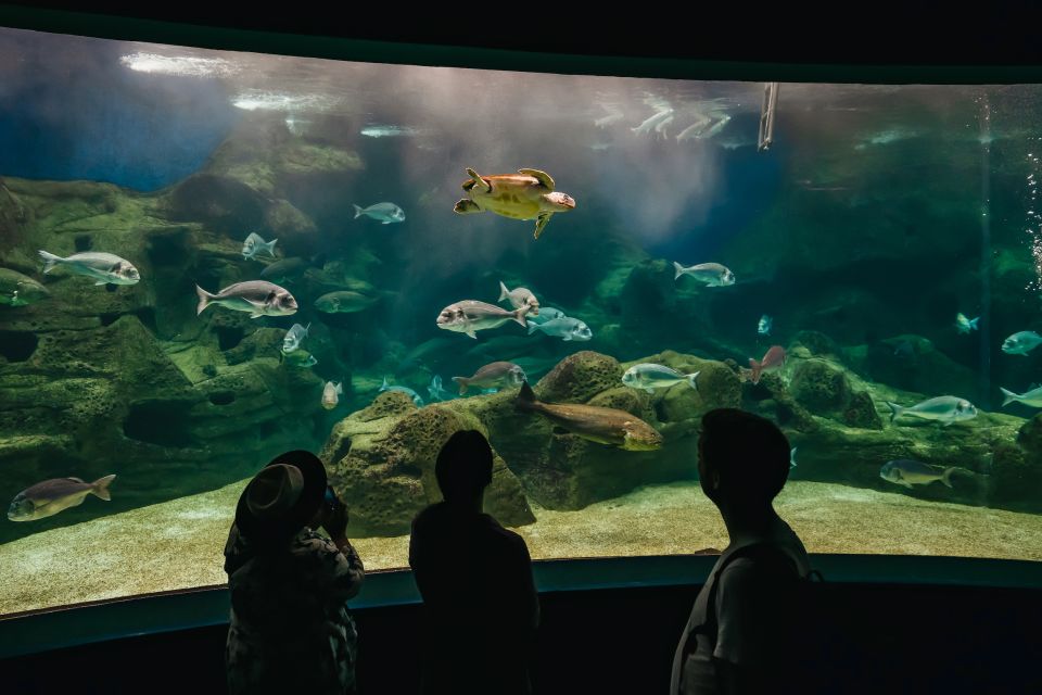 Heraklion Area: CRETAquarium Admission Ticket - Price and Value: Is $9 Good Here?