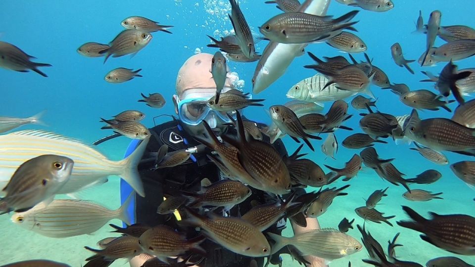 Heraklion: Beginner Scuba Diving Lesson with PADI Instructor - Who should book this beginner scuba lesson?
