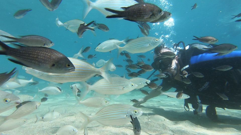 Heraklion: Beginner Scuba Diving Lesson with PADI Instructor - The safety briefing that actually helps you relax