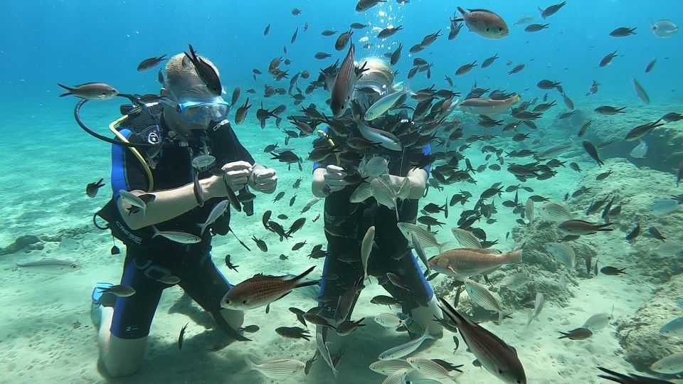 Heraklion: Beginner Scuba Diving Lesson with PADI Instructor - Your first shallow open-water training: learning to be autonomous (not dragged)