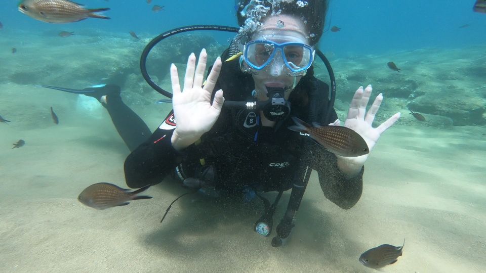 Heraklion: Beginner Scuba Diving Lesson with PADI Instructor - Equipment and comfort: new gear, wetsuit sizing, and what that means for you