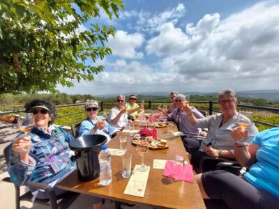 Heraklion: Cretan Wine Tasting Tour & Gourmet Lunch - Winery Visits: What Two Stops Do Better Than One