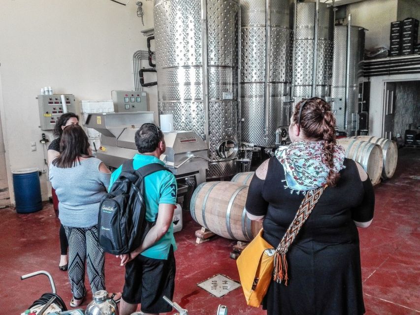 Heraklion: Cretan Wine Tasting Tour & Gourmet Lunch - The Guide Factor: Petros and Pierre, and the Value of a Real Food Brain