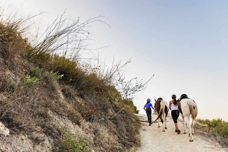 Heraklion: Finikia Horse Riding Tour with Lunch or Dinner - Riding Basics, Safety Checks, and What Levels Fit