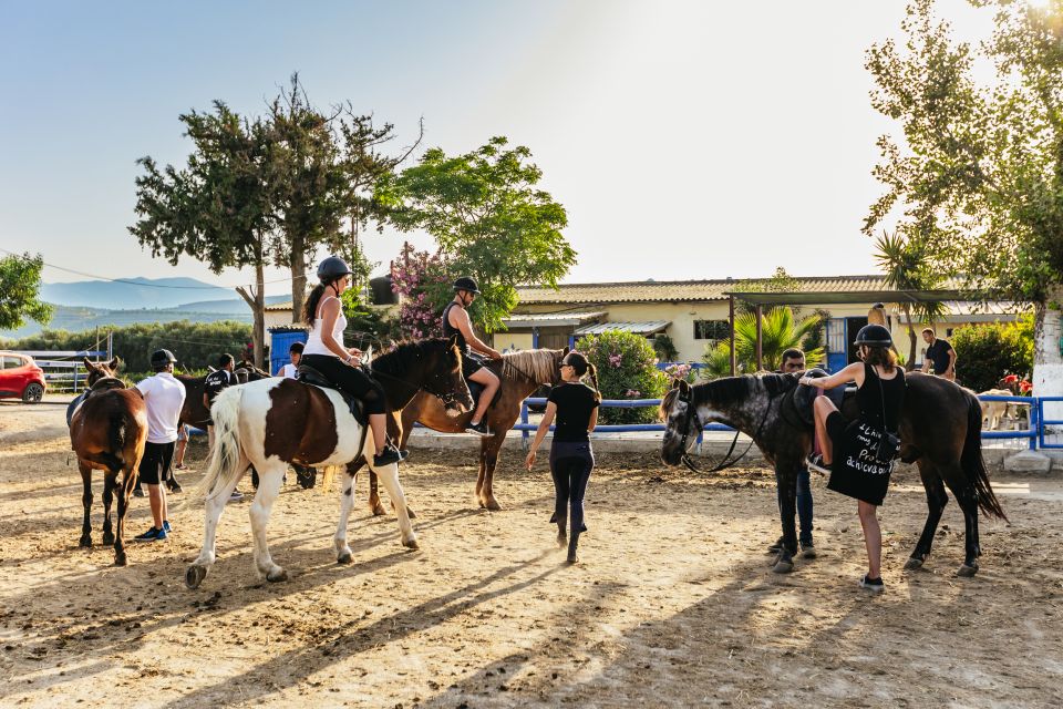 Heraklion: Finikia Horse Riding Tour with Lunch or Dinner - Practical Tips: What to Wear, When to Go, and How to Get the Most