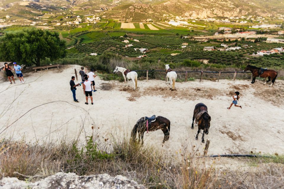 Heraklion: Finikia Horse Riding Tour with Lunch or Dinner - Should You Book Finikia? My Advice for the Right Match