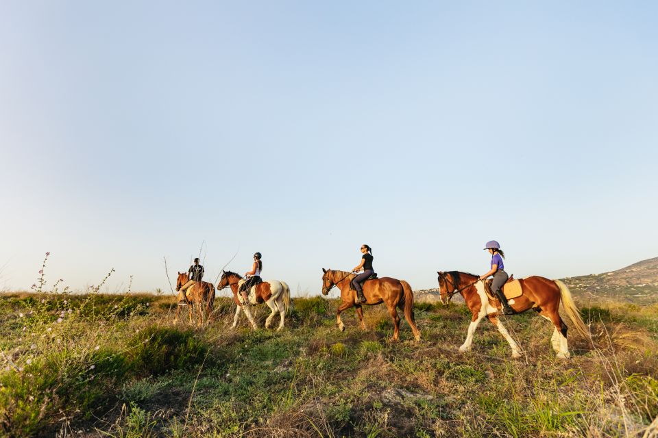 Heraklion: Horse Ride in the Cretan Mountains - A two-hour escape into the Finikia mountains