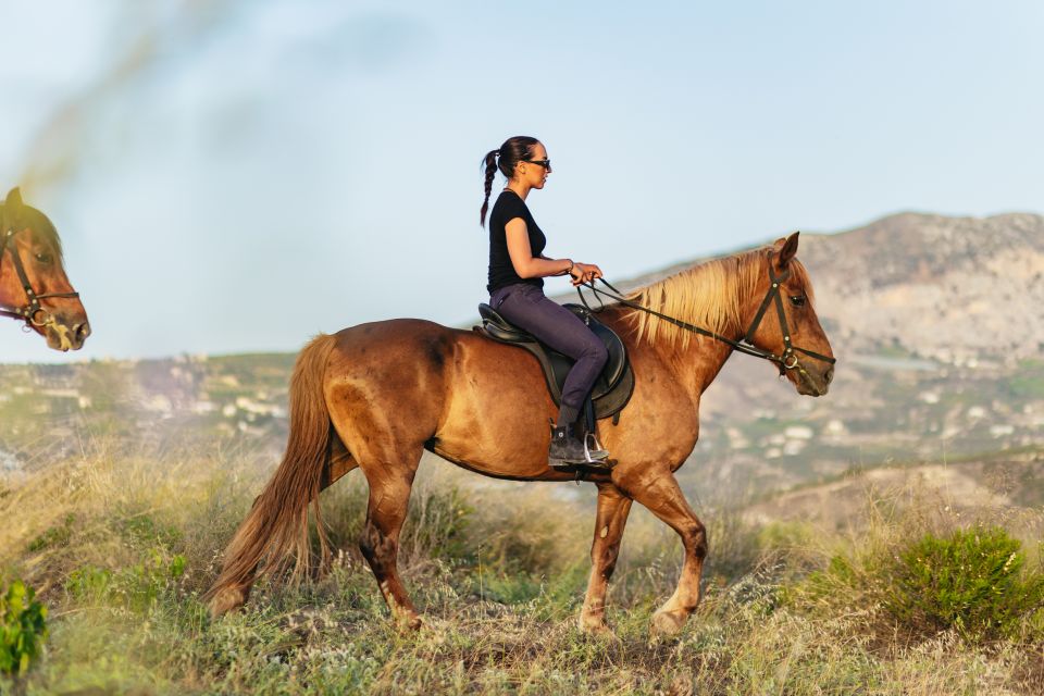 Heraklion: Horse Ride in the Cretan Mountains - Price and value: is $68 worth it?